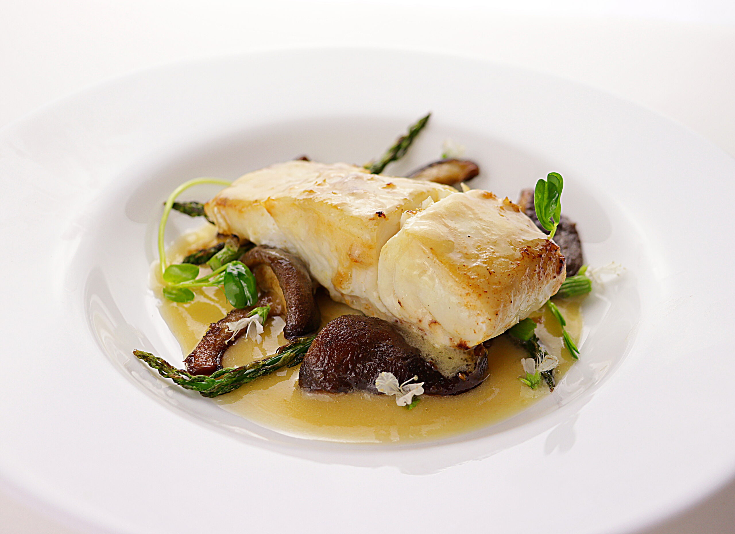 Halibut with Miso Beurre Blanc Skipper Otto