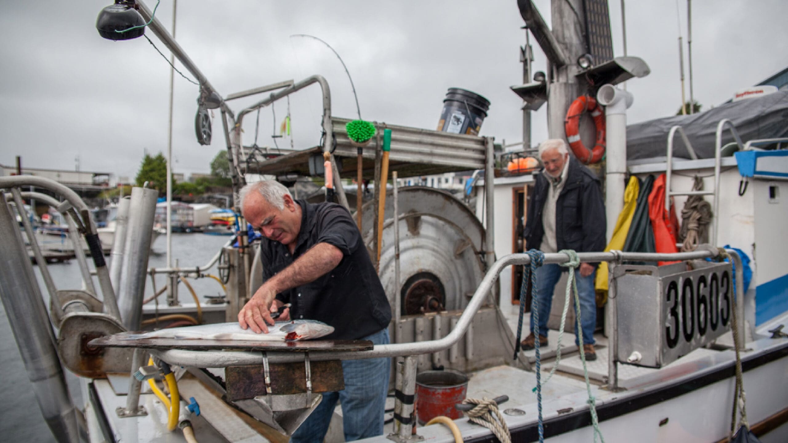 Salmon Gillnetting is Open!