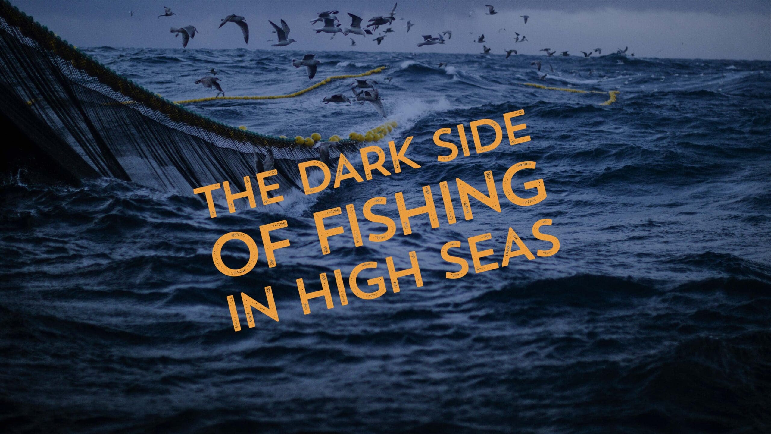 The Dark Side of Fishing in High Seas