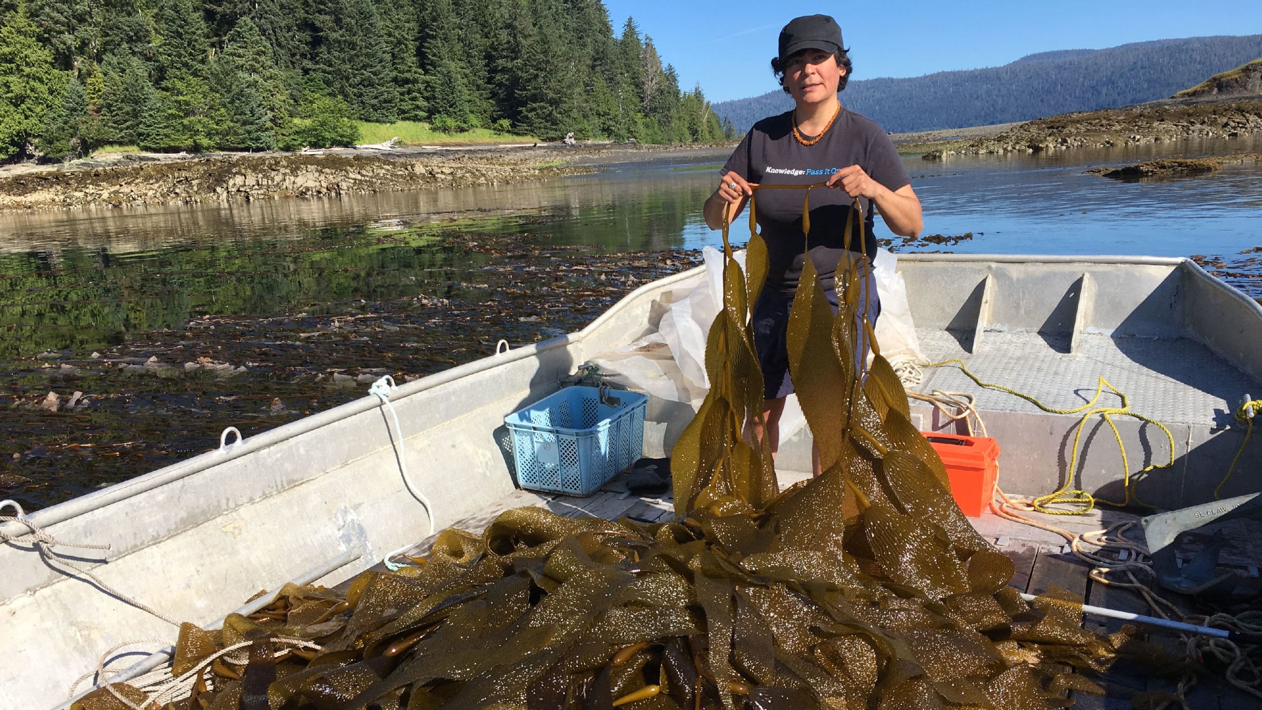 Know Your Kelp Harvester: Dafne Romero