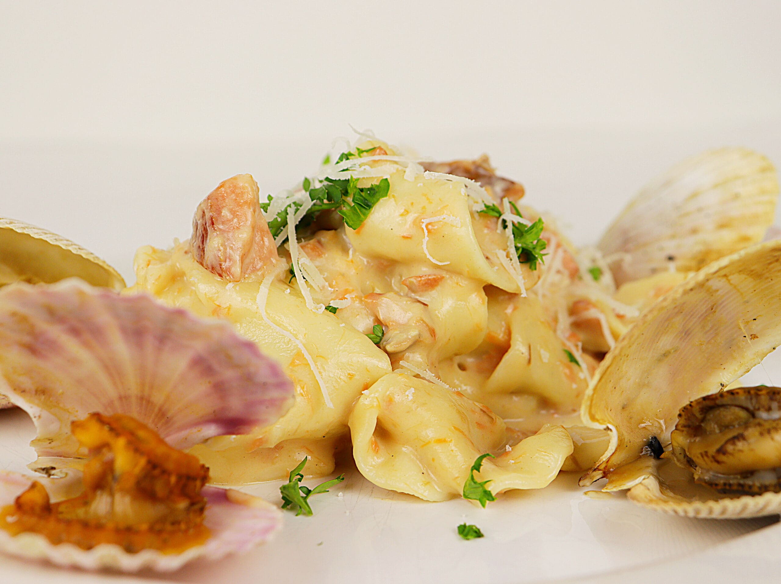 Creamy Salmon Pasta with Grilled Shellfish