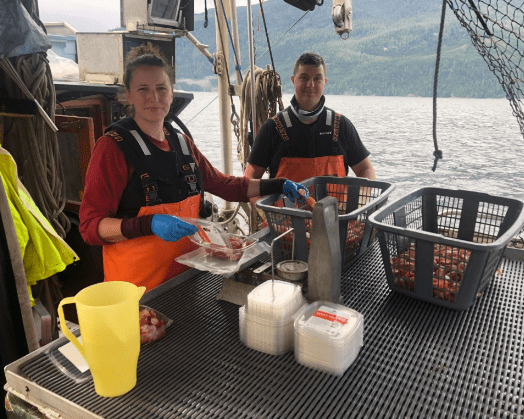 The Fight For BC's Spot Prawn Fishery Continues