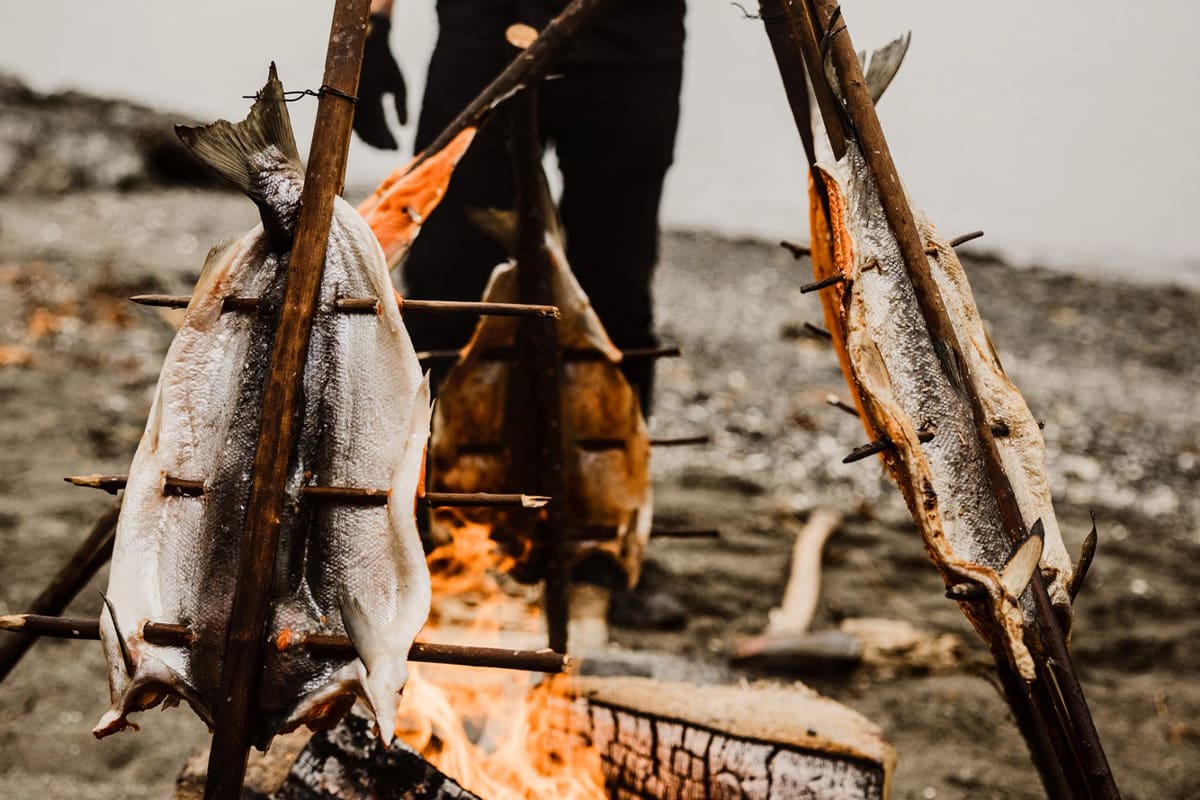 Wild whole salmon cooking around an open fire.