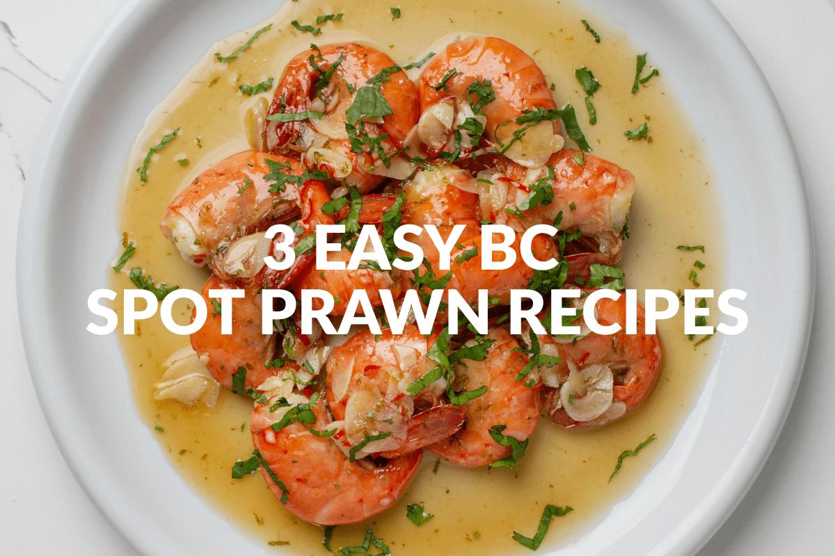 BC spot prawns presented on a plate.